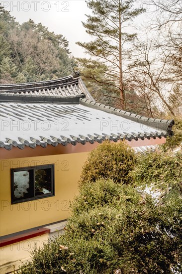 Building with snow covered tiled roof behind evergreen bushes in South Korea