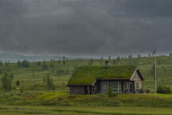 Photo of a holiday cabin, landscape format, log cabin, holiday home, wooden house, grass roof, lawn roof, green roof, stone chimney, fell, treeless plateau, flagpole, national flag, rain clouds, landscape photo, secluded, remote, lonely, remote, Uvdal, Viken, Norway, Europe