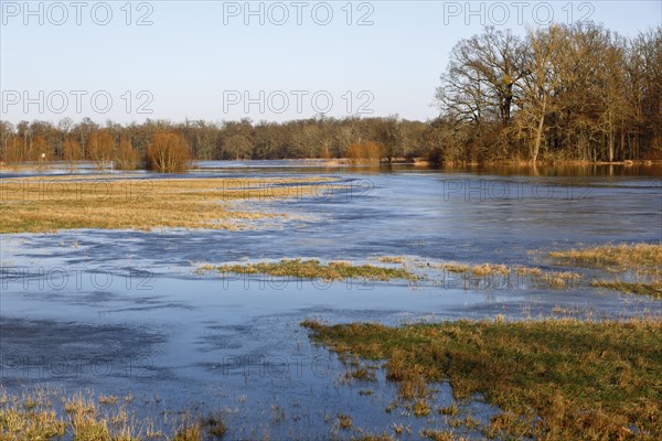 Winter floods 2024 on the Elbe and Mulde rivers with flooding of the meadows, ice on the meadows due to flooding in winter, high-pressure weather in winter, Middle Elbe Biosphere Reserve, Dessau-Rosslau, Saxony-Anhalt, Germany, Europe
