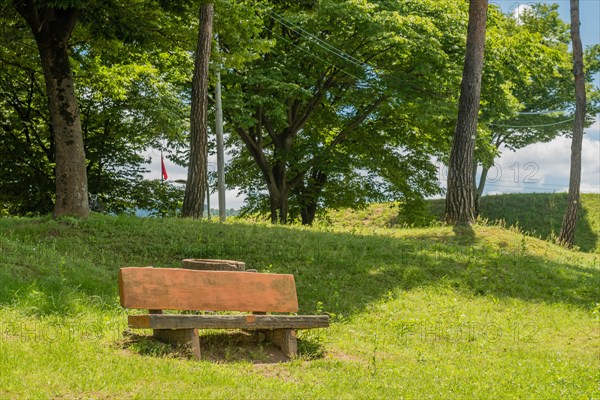 Park bench on side of grassy hill in urban park in South Korea