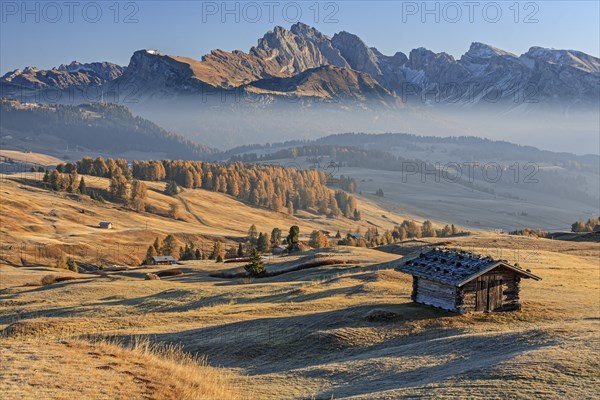Small hut on alp in front of mountains in the morning light, hoarfrost, autumn, haze, Alpe di Siusi, behind Sass Rigais, Dolomites, South Tyrol, Italy, Europe
