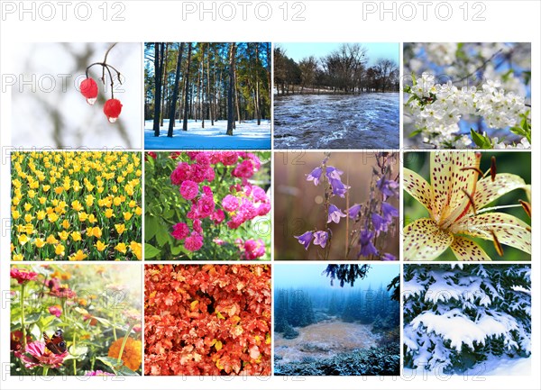 Blank with different twelve colored images of nature for calendar. Ready photo for calendar. Pictures for yearly calendar. Placard for office