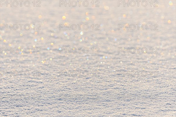 Thin layer of shimmering snow on the ice. Bas-Rhin, Alsace, Grand Est, France, Europe