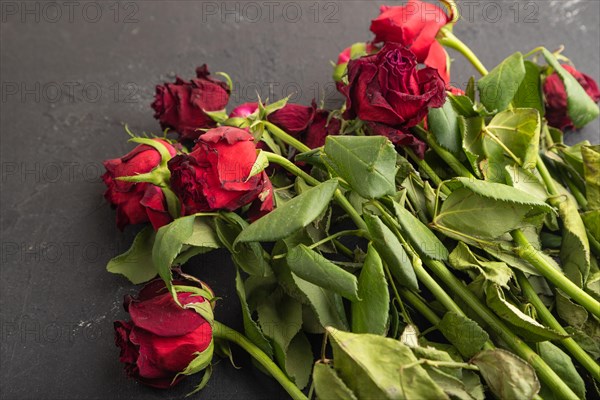 Withered, decaying, roses flowers on black concrete background. top view, flat lay, copy space, still life. Death, depression concept