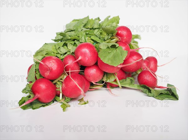 Radish vegetables food