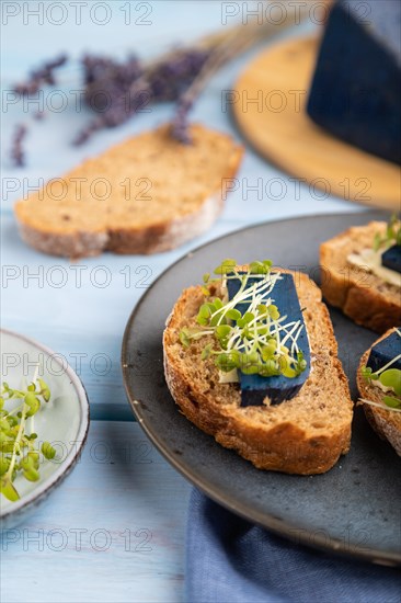 Bread sandwiches with blue lavender cheese and mustard microgreen on blue wooden background and linen textile. side view, close up, selective focus
