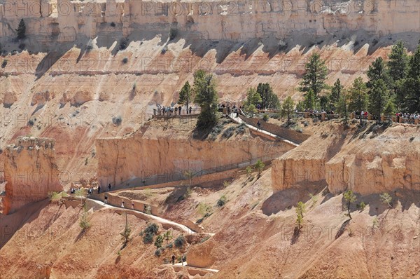 Trails at the canyon rim, Bryce Canyon National Park, Utah, USA, North America