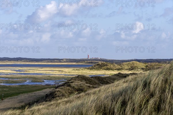 Duinen van Texel National Park, dunes of Texel, North Sea island of Texel, West Frisian island, province of North Holland, Netherlands