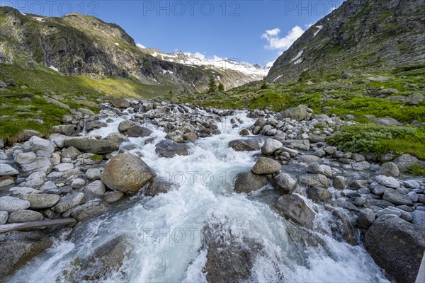 Mountain stream Hornkeesbach, behind mountain peak with snow and glacier Hornkees, Berliner Hoehenweg, Zillertal Alps, Tyrol, Austria, Europe