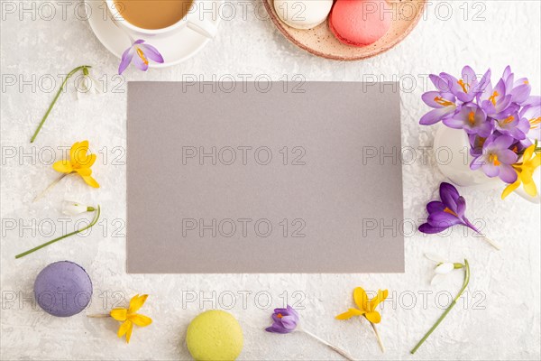 Beige paper sheet mockup with spring snowdrop crocus flowers and multicolored macaroons on gray concrete background. Blank, business card, top view, flat lay, copy space, still life. spring concept