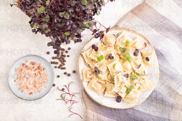 Dumplings with pepper, salt, herbs, microgreen on gray concrete background and linen textile. Top view, flat lay, close up