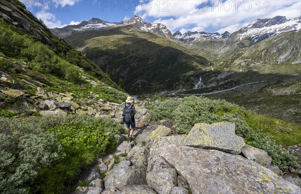 Mountaineers on a hiking trail in front of a picturesque mountain landscape, rocky mountain peaks with snow, valley Zemmgrund with Zemmbach, mountain panorama with summit Zsigmondyspitze and Ochsner, Berliner Hoehenweg, Zillertal Alps, Tyrol, Austria, Europe