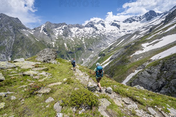 Mountaineer on hiking trail in picturesque mountain landscape, in the background mountain peak Grosser Loeffler and Oestliche Floitenspitze with glacier Floitenkees, valley Floitengrund, Berliner Hoehenweg, Zillertal Alps, Tyrol, Austria, Europe