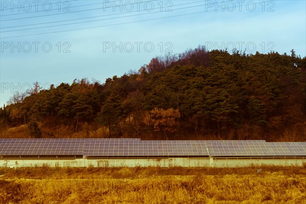 Aged photo of large array of solar panels setup in countryside in front of hillside covered in lush foliage under blue partly cloudy sky