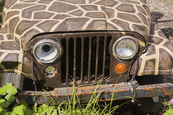 Brown and white camouflage painted safari Jeep with damaged front end, Quebec, Canada, North America