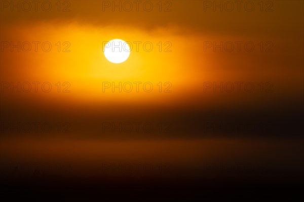 Sunrise in the fog, Federsee lake