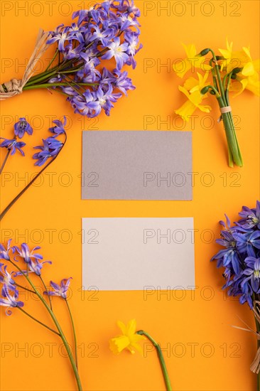 Gray paper business cards with spring snowdrop flowers bluebells, narcissus on orange pastel background. top view, flat lay, copy space, still life, mockup, template. Beauty, spring concept