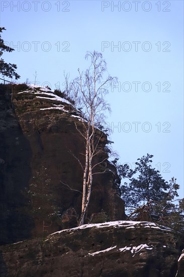 Elbe Sandstone Mountains in winter, Saxony, Germany, Europe