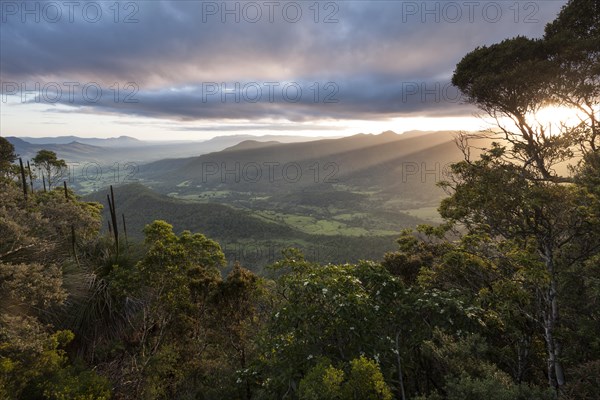 Sunset in Lamington National Park. View of Limpinwood Nature Reserve and Mt Warning, Wollumbin National Park. Byron Hinterland in NSW Australia
