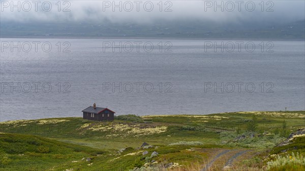 Shot of a hut on Lake Soenstevatn in the rain, landscape format, inland waters, log cabin, holiday home, Fjell, Fjellhuette, plateau, wooden house, landscape, landscape photo, panoramic shot, summer, shore, clouds, secluded, remote, lonely, Uvdal, Viken, Norway, Europe