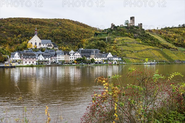 Vineyards in autumn colours and picturesque village, Beilstein, Moselle, Rhineland-Palatinate, Germany, Europe