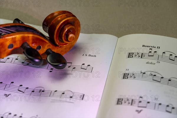 Detailed view of a violin with scroll and pegbox in front of sheet music, studio photograph, Germany, Europe