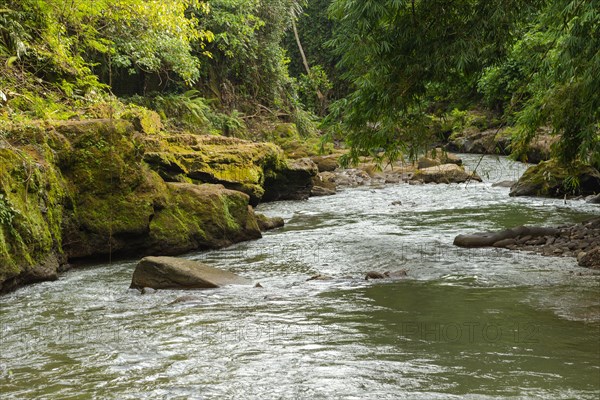 Uma Anyar waterfall, Bali island, Ubud, Indonesia. Jungle, tropical forest, daytime with cloudy sky