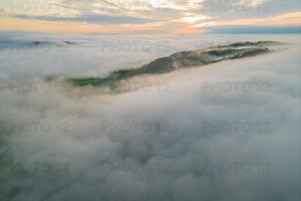 Morning atmosphere near Tuebingen