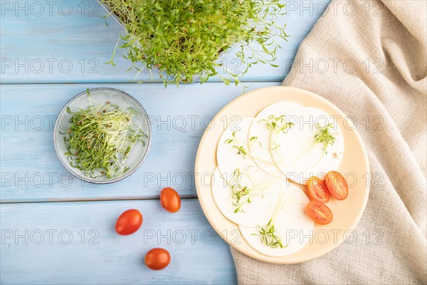 White cheese with tomatoes and cilantro microgreen on blue wooden background and linen textile. top view, flat lay, close up