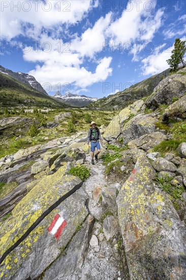 Mountaineers on a hiking trail in front of a picturesque mountain landscape, rocky mountain peaks with snow, behind mountain hut Berliner Huette and rocky mountain peaks, Berliner Hoehenweg, Zillertal Alps, Tyrol, Austria, Europe