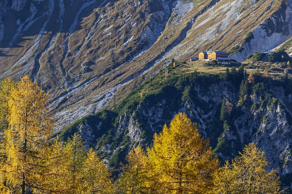 Mountain hut and golden larches in mountain landscape, autumn, Hofpuerglhuette, Dachstein mountains, Austria, Europe