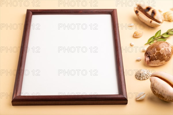 Composition with wooden frame, seashells, green boxwood. mockup on orange background. Blank, side view, still life, copy space. travel concept