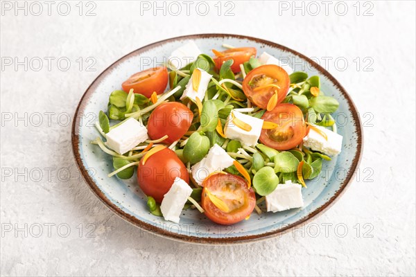 Vegetarian vegetables salad of tomatoes, marigold petals, microgreen sprouts, feta cheese on gray concrete background. Side view, close up