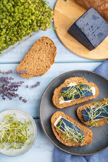 Bread sandwiches with blue lavender cheese and mustard microgreen on blue wooden background and linen textile. top view, flat lay, close up