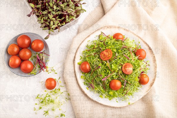 Vegetarian vegetables salad of tomatoes, celery, onion microgreen sprouts on gray concrete background and linen textile. Top view, flat lay, close up