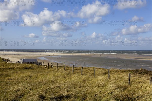 Dunes and beach, Texel, West Frisian Island, Province of North Holland, Netherlands