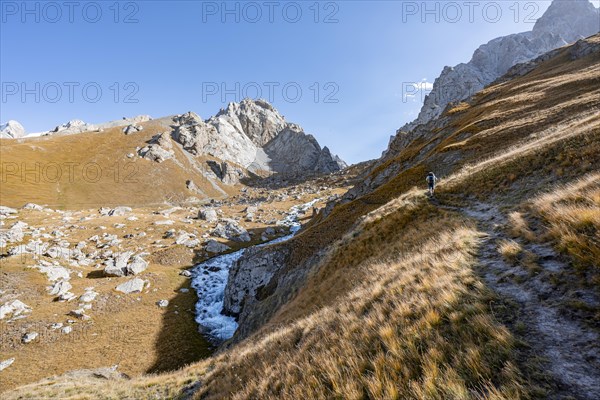 Mountaineer on a hike to the mountain lake Kol Suu, mountain landscape with yellow meadows and river Kol Suu, Keltan Mountains, Sary Beles Mountains, Tien Shan, Naryn Province, Kyrgyzstan, Asia