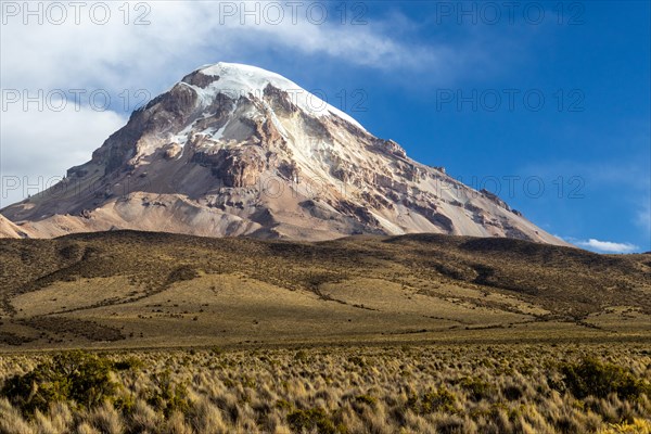 Sajama