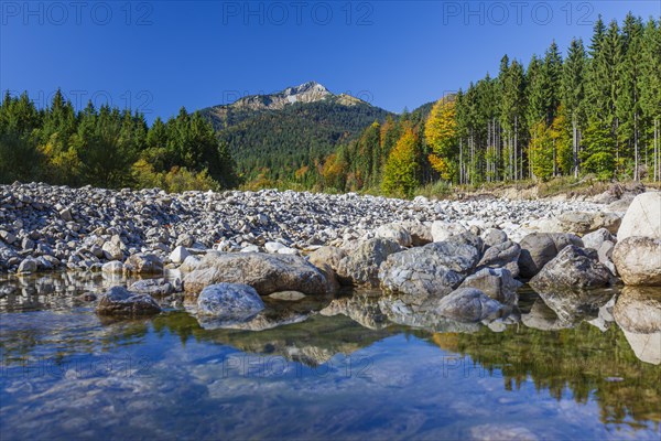Dried out riverbed in autumn in front of mountains, Linder, behind Scheinbergspitze, Ammergau Alps, Upper Bavaria, Bavaria, Germany, Europe