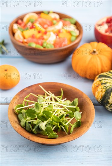Sunflower microgreen sprouts and vegetarian fruit salad of pumpkin, tangerine, pomegranate, grapefruit on blue wooden background. Side view, close up, selective focus