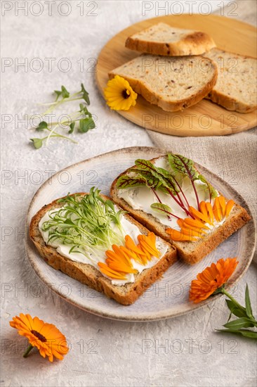 White bread sandwiches with cream cheese, calendula petals and microgreen on gray concrete background and linen textile. side view, close up