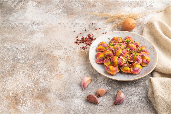 Rainbow colored dumplings with pepper, herbs, microgreen on brown concrete background and linen textile. Side view, copy space