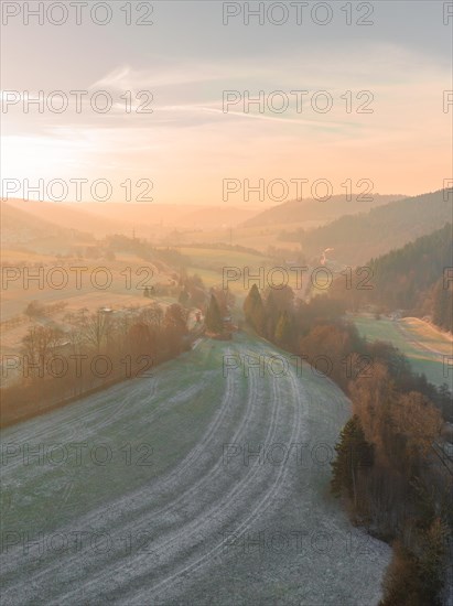 A country lane winds through a quiet landscape in the dim evening light, Nagold, Black Forest, Germany, Europe