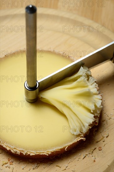 Cheese 'Tete de Moines' with turning knife Girolle, cheese rosettes, Moenchskopf, Switzerland, Europe