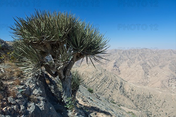 Mountains near Mughsayl, Oman, Asia