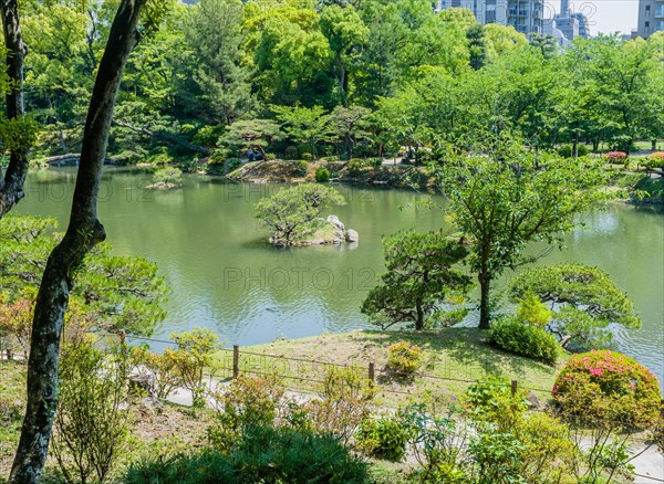 Landscape of foliage and pond in Hiroshima's Shukkeien Gardens in Hiroshima, Japan, Asia