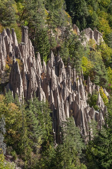 Earth pyramids on the Ritten, South Tyrol, Italy, Europe