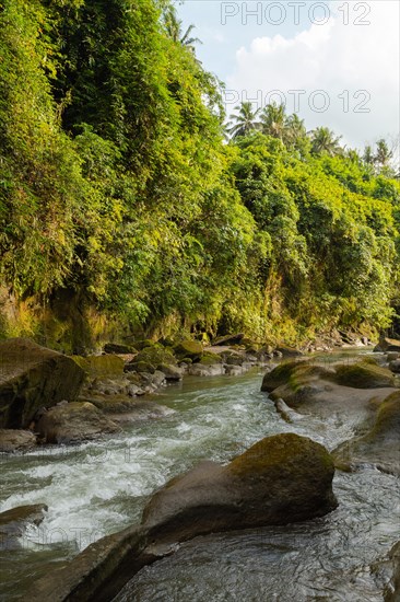 Uma Anyar waterfall, Bali island, Ubud, Indonesia. Jungle, tropical forest, daytime with cloudy sky