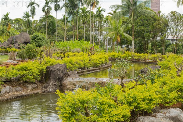 Palm collection in city park in Kuching, Malaysia, tropical garden with large trees, pond with small waterfall, gardening, landscape design. Daytime with cloudy blue sky, Asia