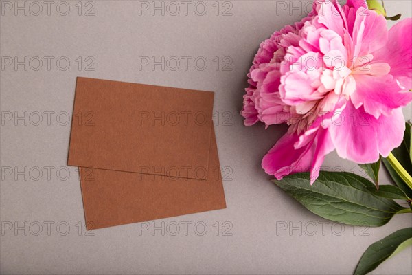 Brown business card with pink peony flowers on gray pastel background. top view, flat lay, copy space, still life. Breakfast, morning, spring concept